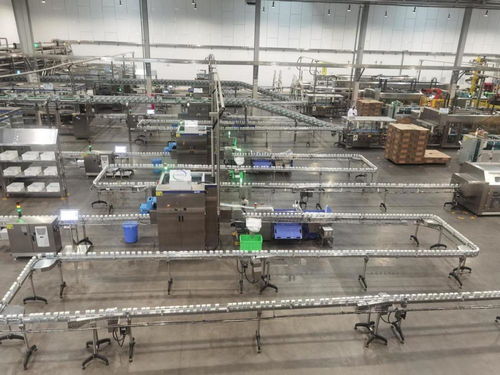 寧夏智慧乳業(yè)新標(biāo)桿 全球最大乳業(yè)數(shù)智化工廠下線第300億包產(chǎn)品