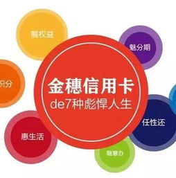 金穗溫州商人卡9周年歷程 金融創(chuàng)新與社會經(jīng)濟(jì)咨詢服務(wù)的雙輪驅(qū)動